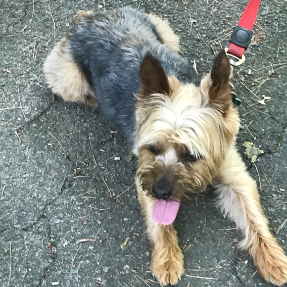 Meet your Posher, Colin - Picture 1 of 1